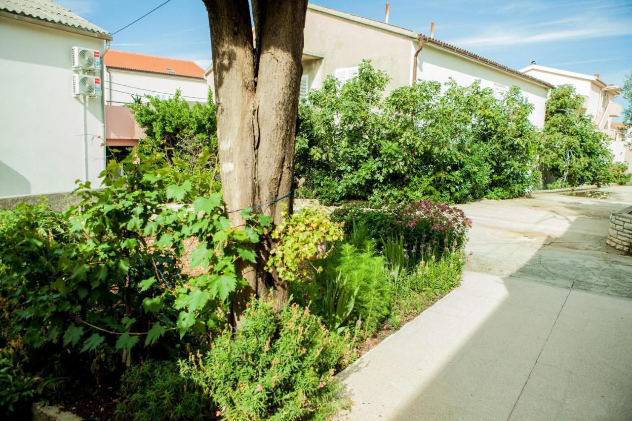 Apartments Alma Novalja Exterior photo