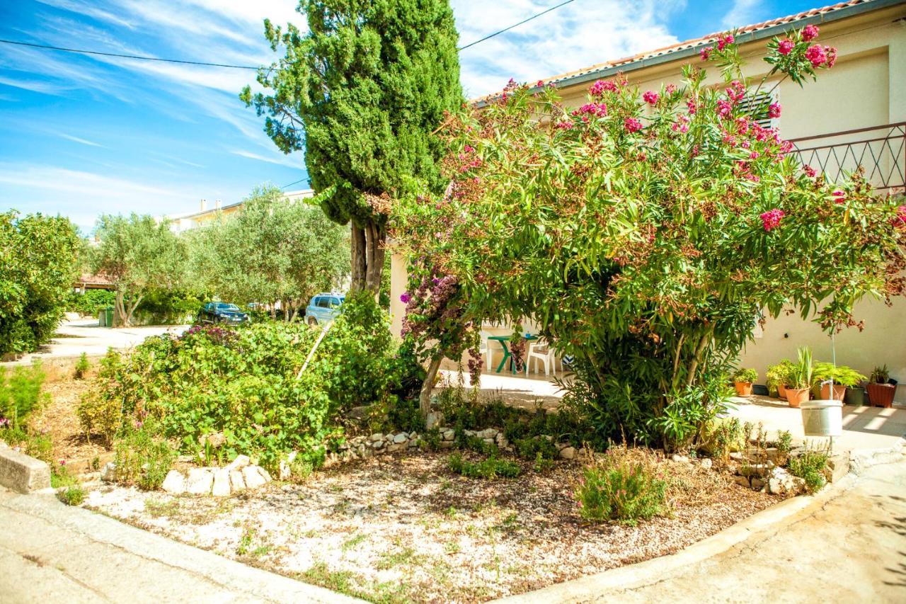 Apartments Alma Novalja Exterior photo
