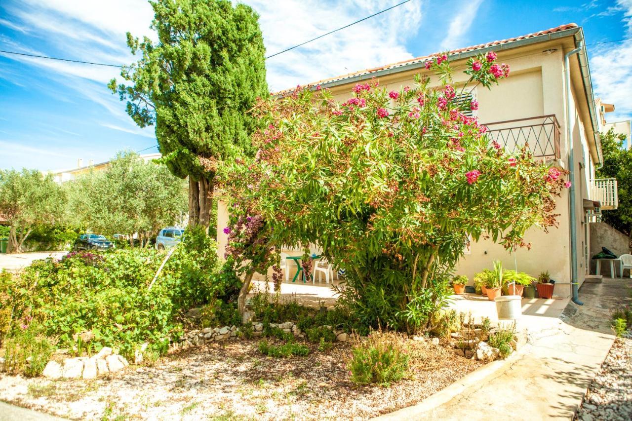 Apartments Alma Novalja Exterior photo